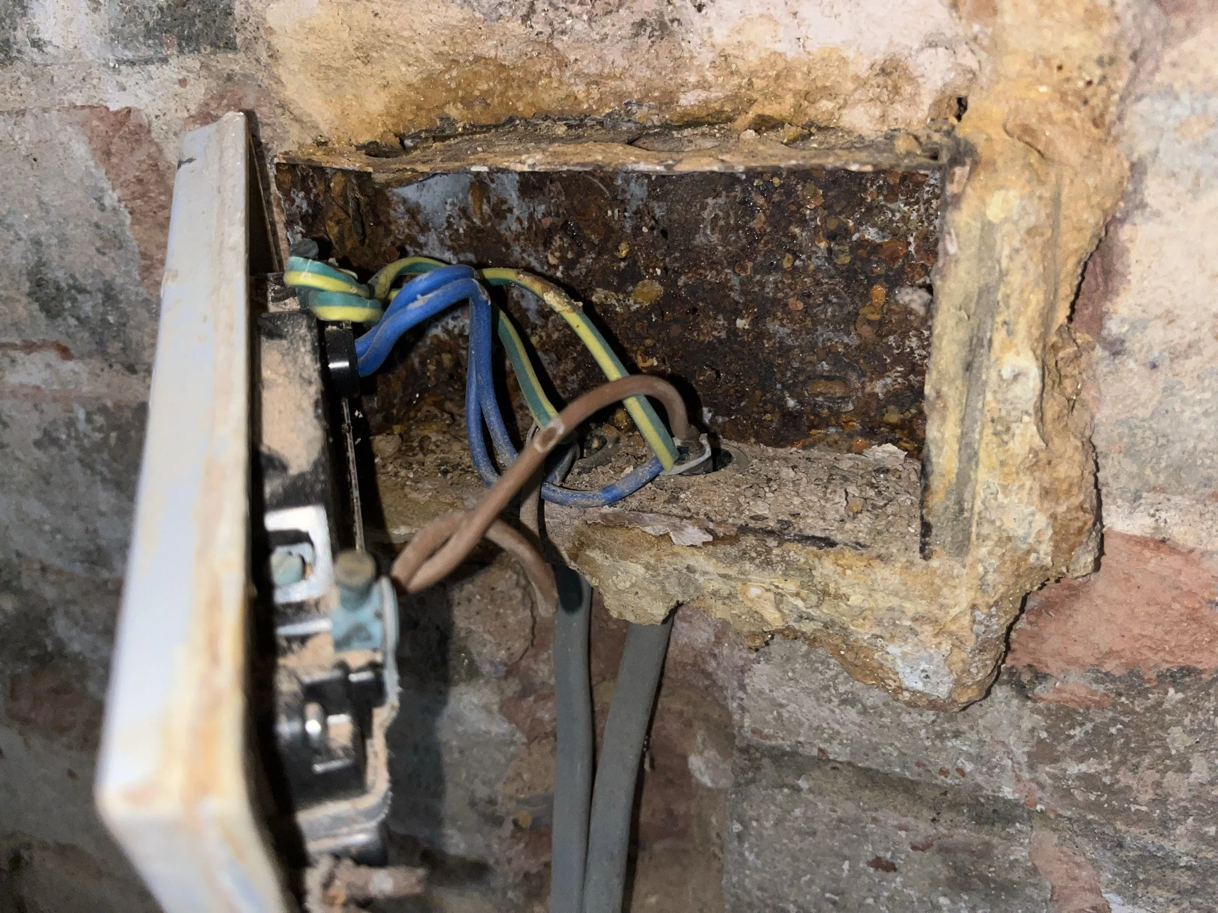 Photo Aug 16 2025, 17 56 55.jpg