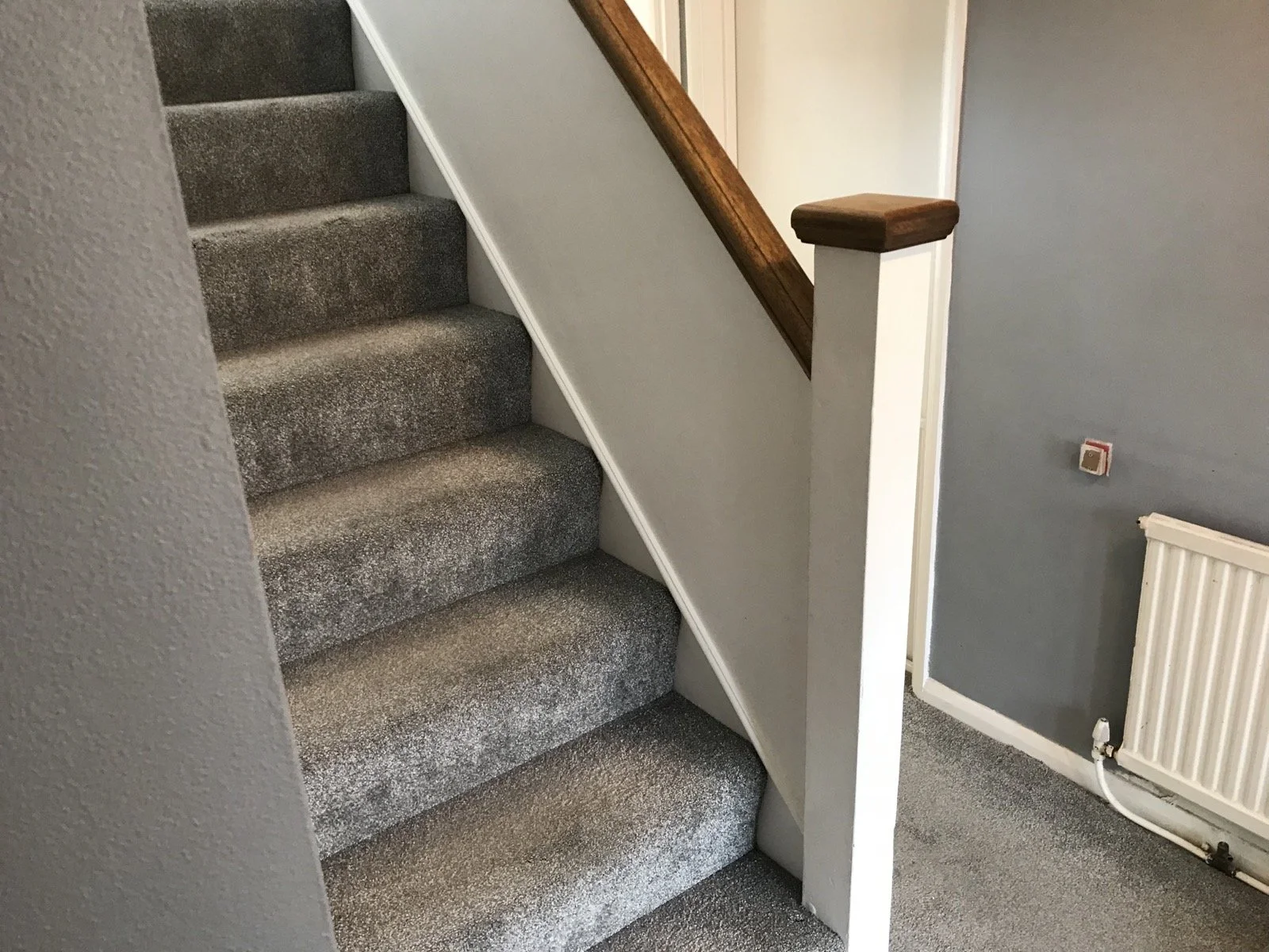 Photo 05-04-2022, 10 22 25.jpg