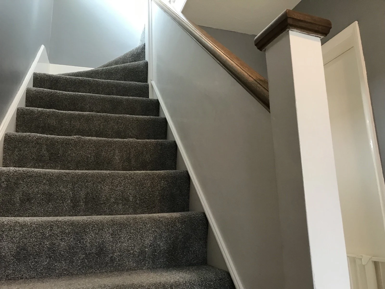 Photo 05-04-2022, 10 22 29.jpg