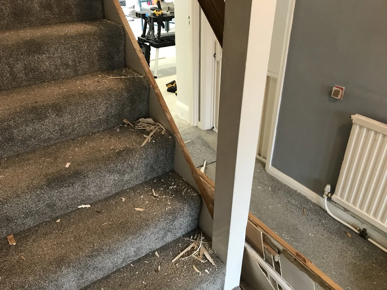 Photo 05-04-2022, 11 36 42.jpg