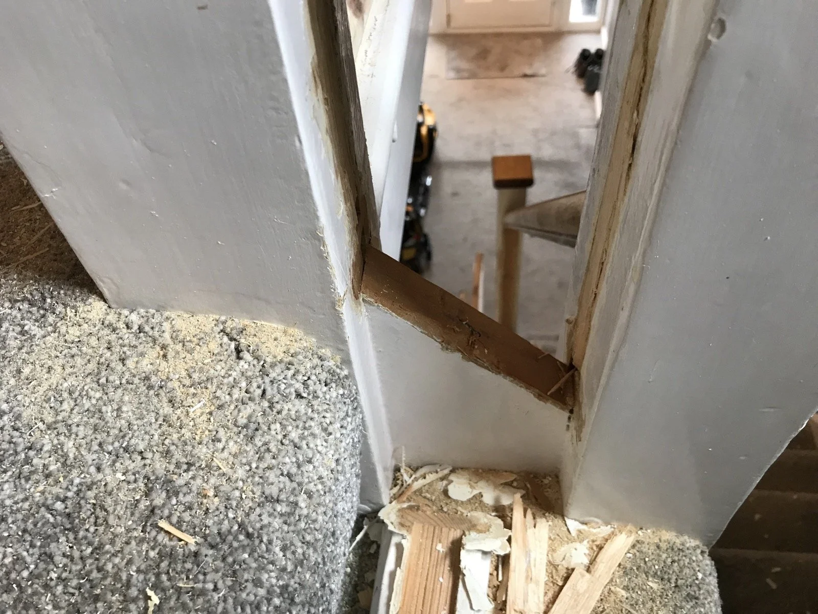 Photo 05-04-2022, 11 55 13.jpg