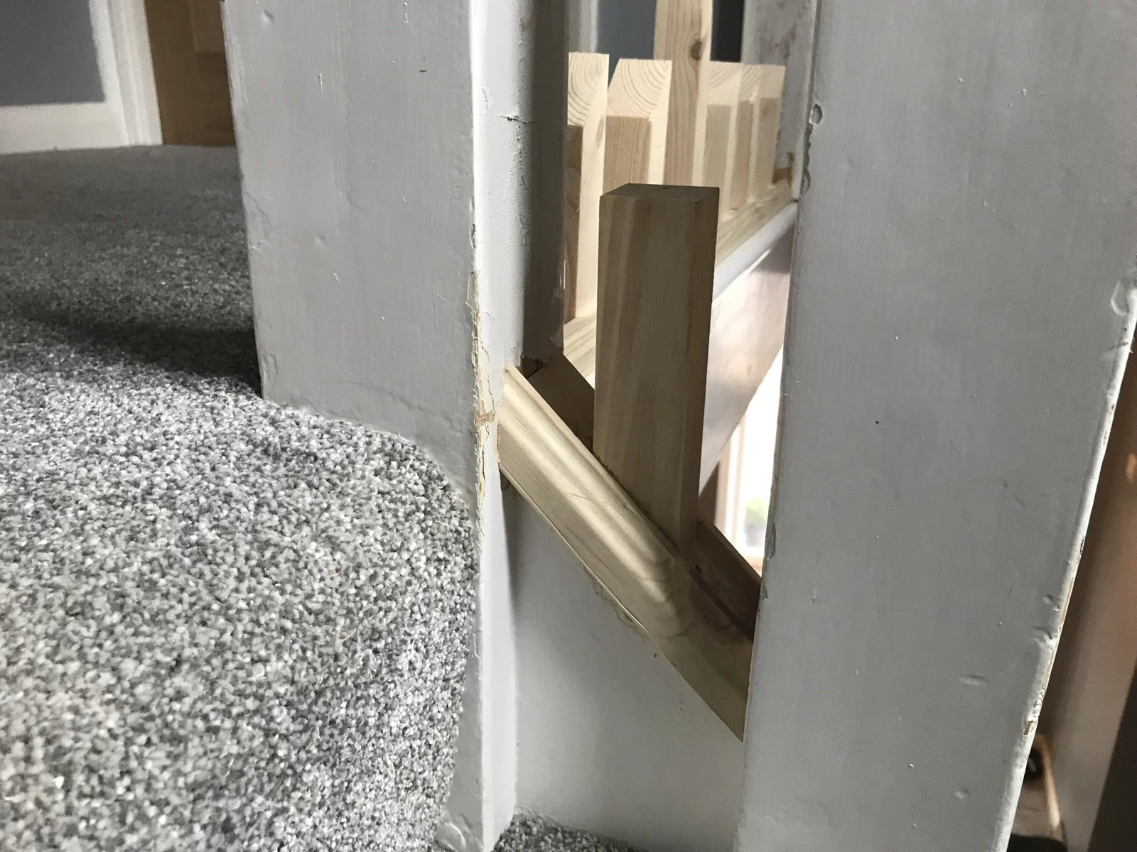 Photo 06-04-2022, 10 31 56.jpg