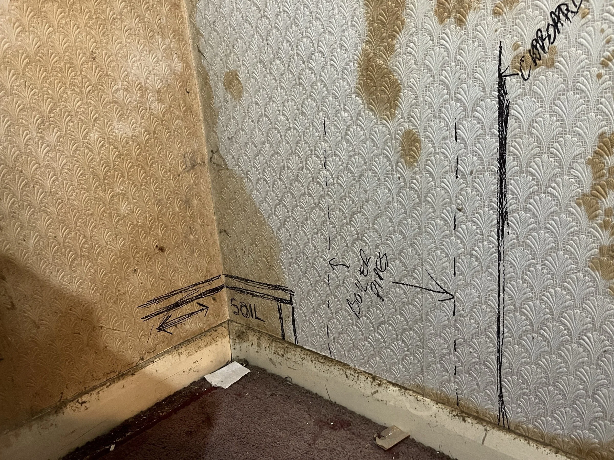 Photo May 07 2025, 18 52 11.jpg