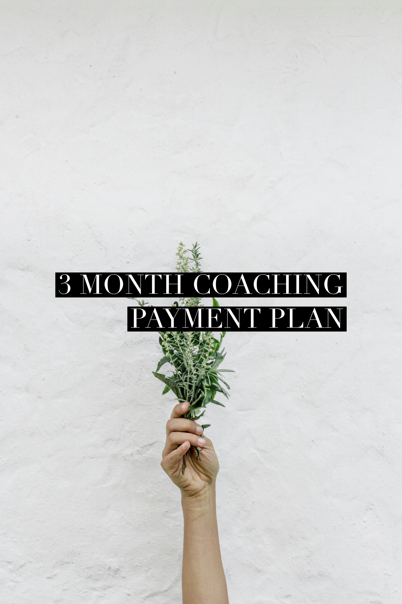 3 month coaching installment