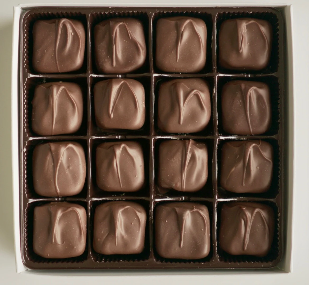 Chocolate Covered Caramels