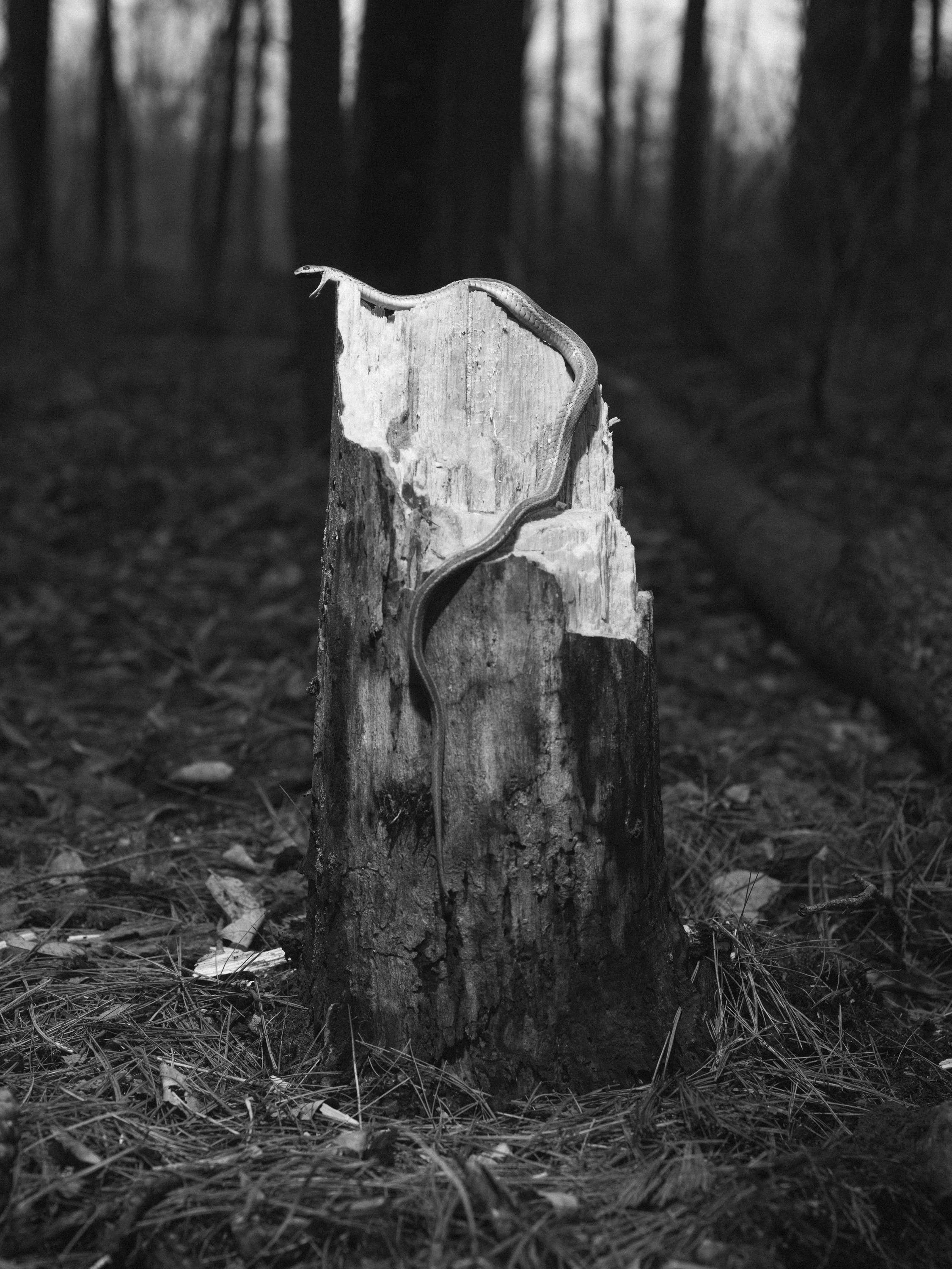 TurnOffTheBlood-24.jpg