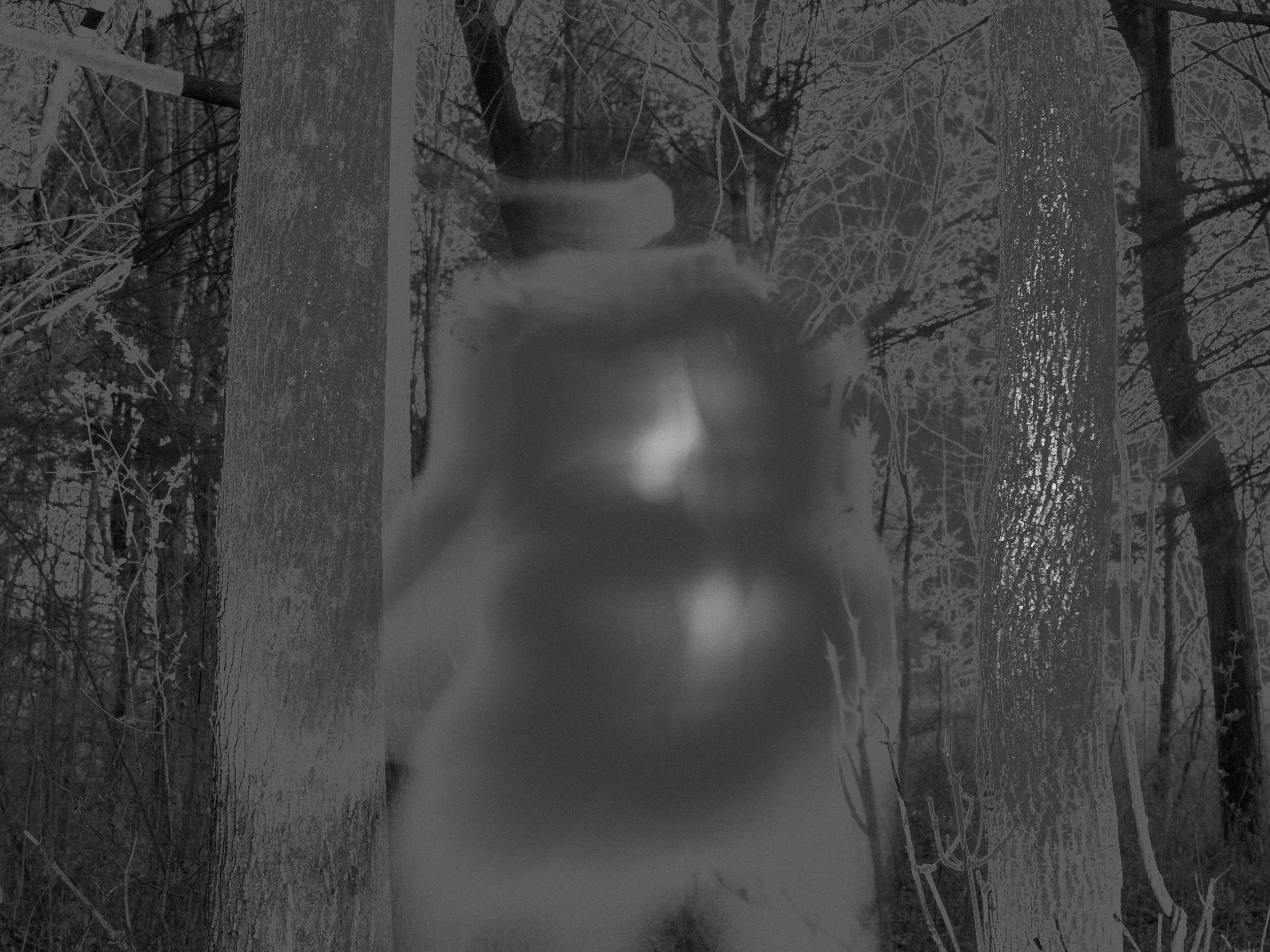 TurnOffTheBlood-29.jpg