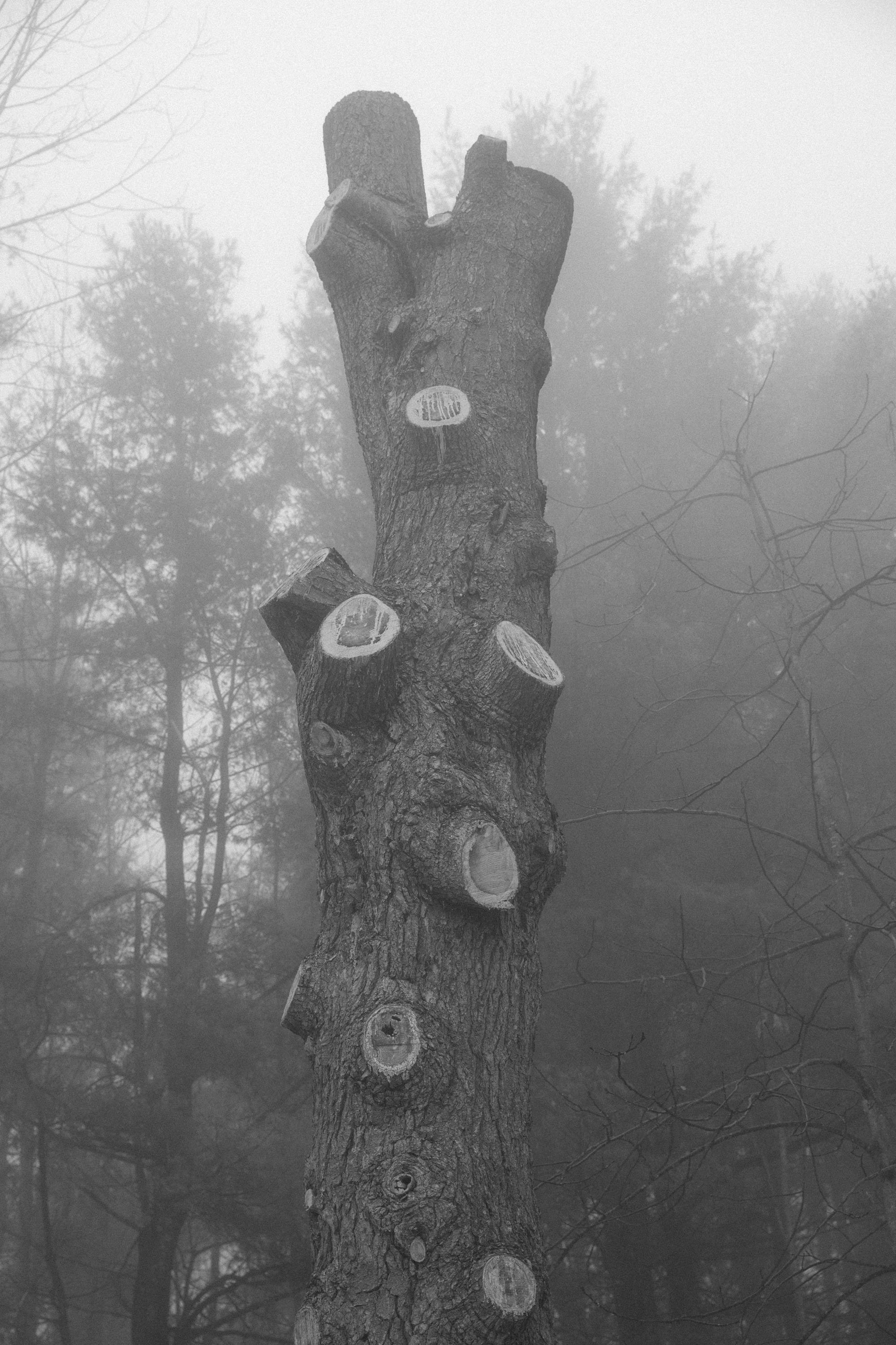 TurnOffTheBlood-31.jpg
