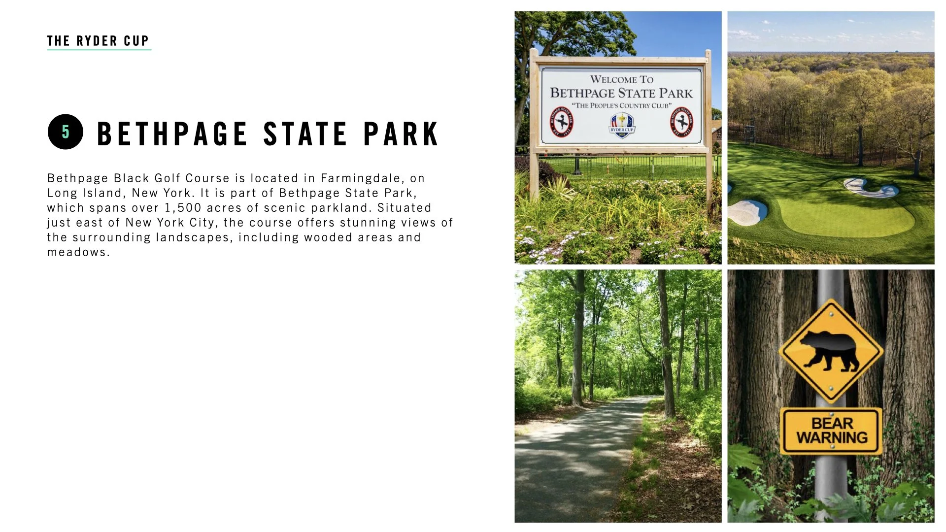 Mint Green_RyderCup_Rd3.1d.001.jpeg