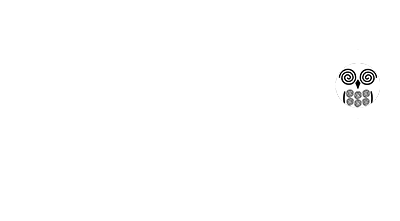 ABSOLUTE ZERO ICE CREAM