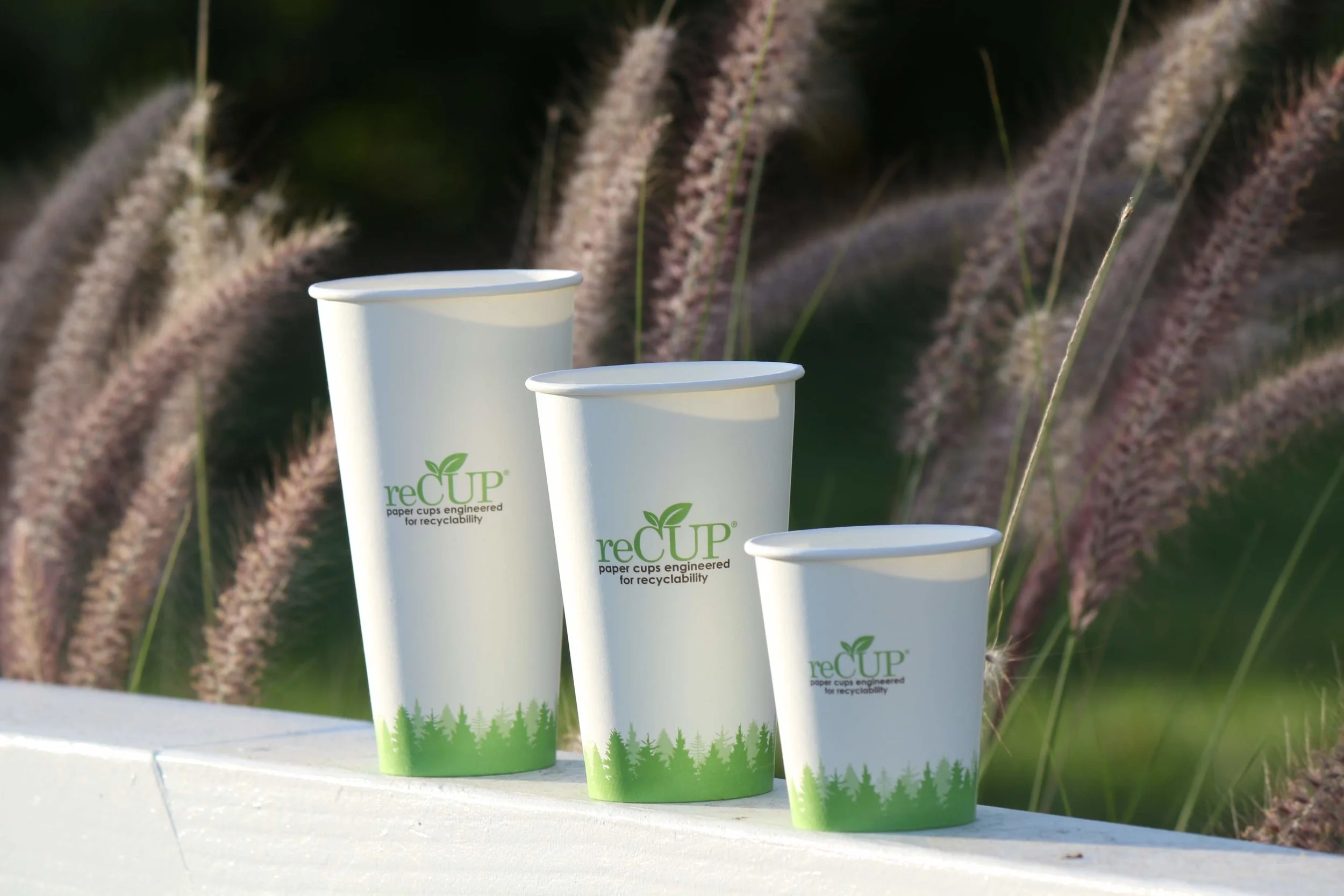 'Intention of latte levy lost at government level’