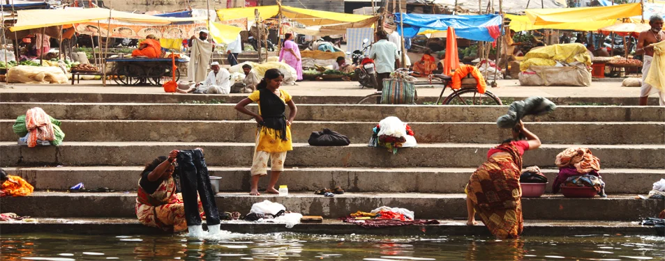 india22.jpg