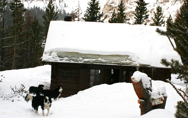 snow23.jpg