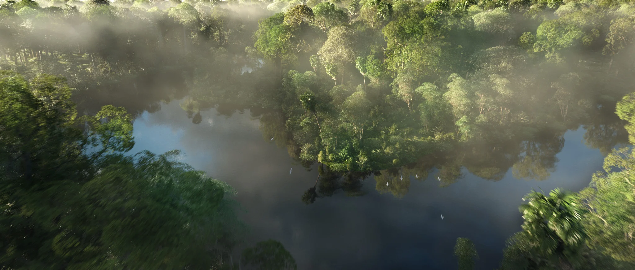 amazon_river_c4b_f_.jpg