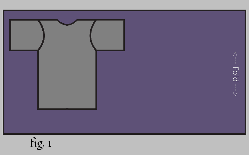 pshirtfig1.png