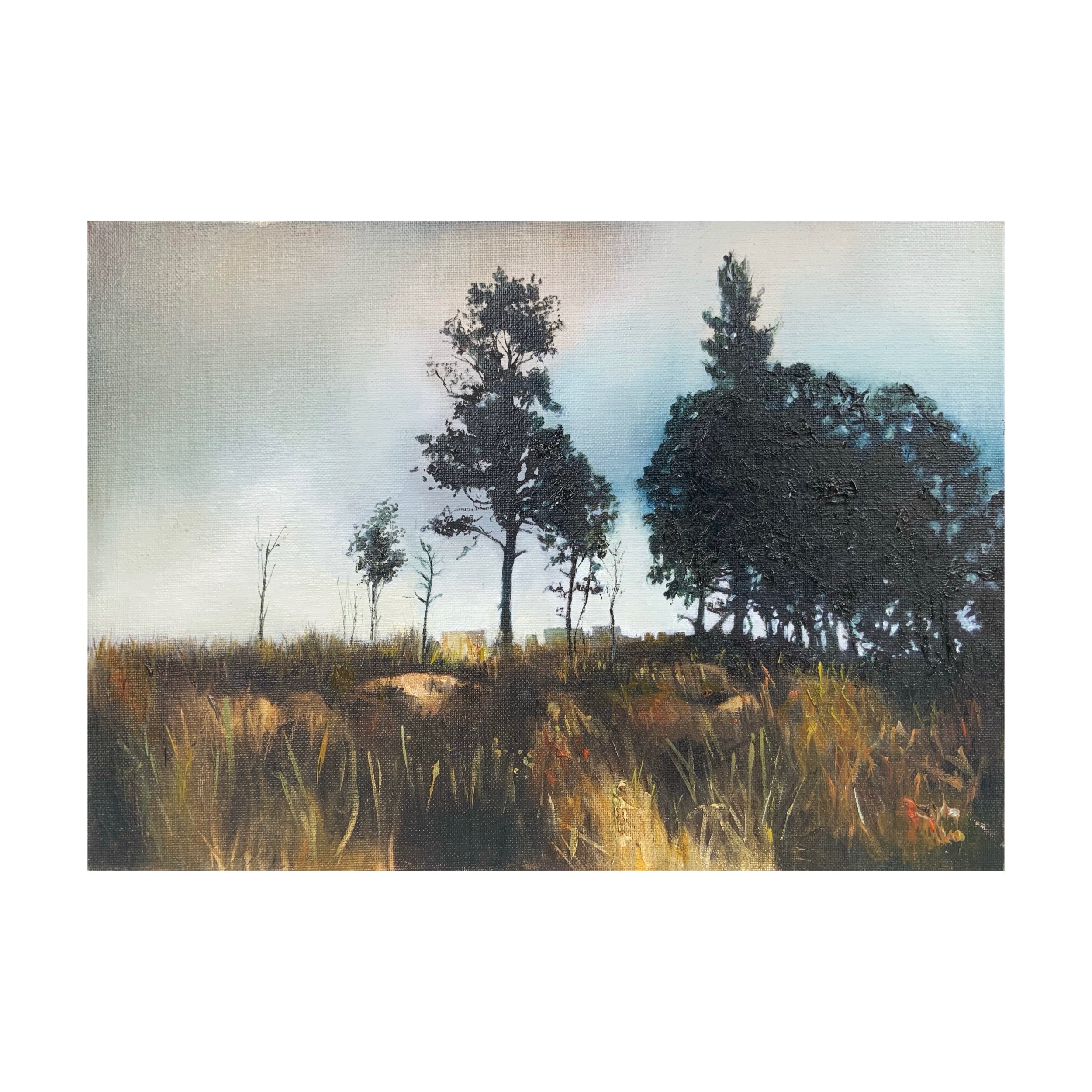 Across the Field and Under Trees - SOLD