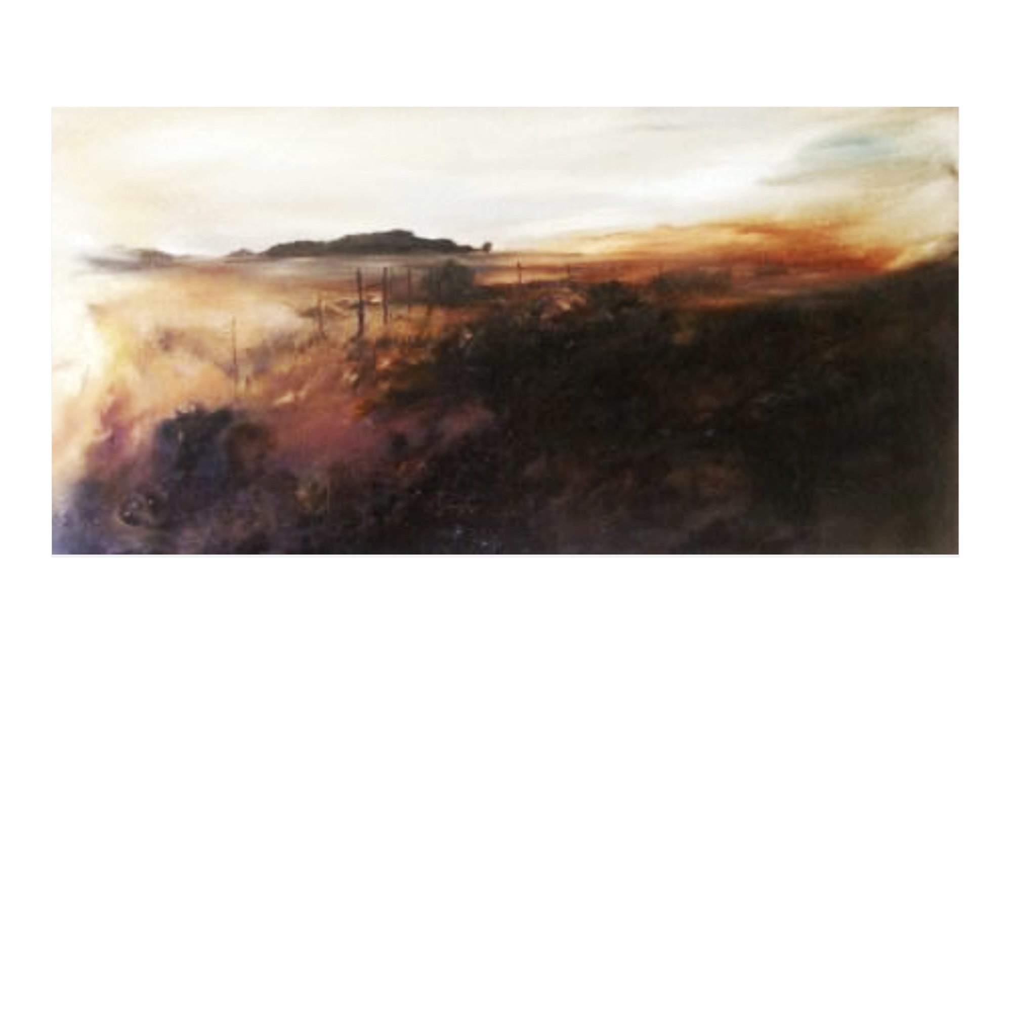 Field of Fire - Oil on Canvas - 50cm x 100cm - R4,300 - wb 2.JPG