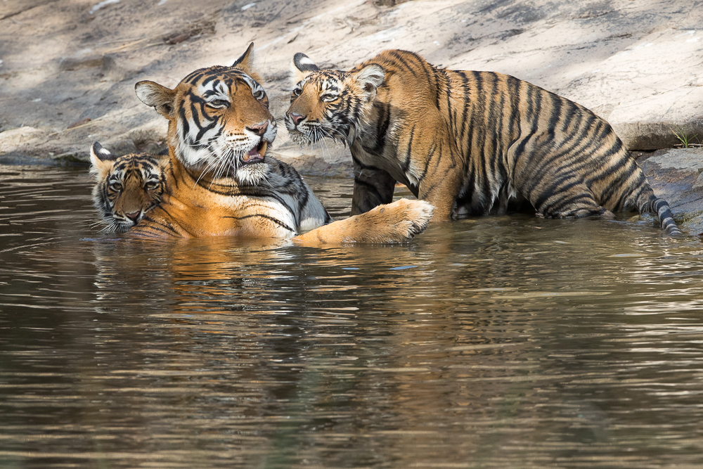 What better way to cool off on a hot, hot day