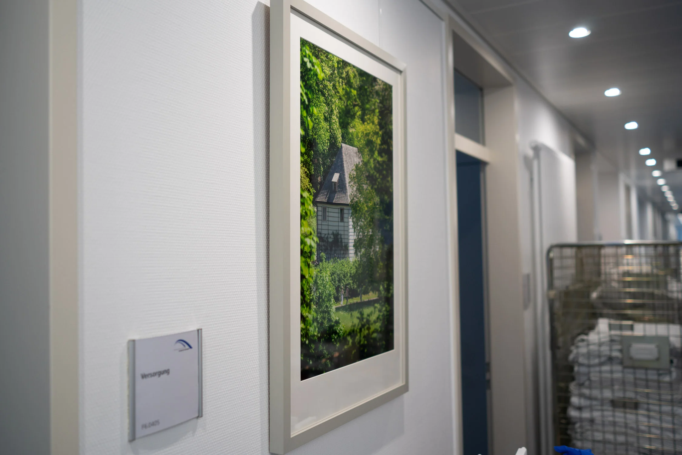 Eines von 9 meiner Bilder, welches von nun an in der neu sanierten Station im Weimarer Krankenhaus hängt.