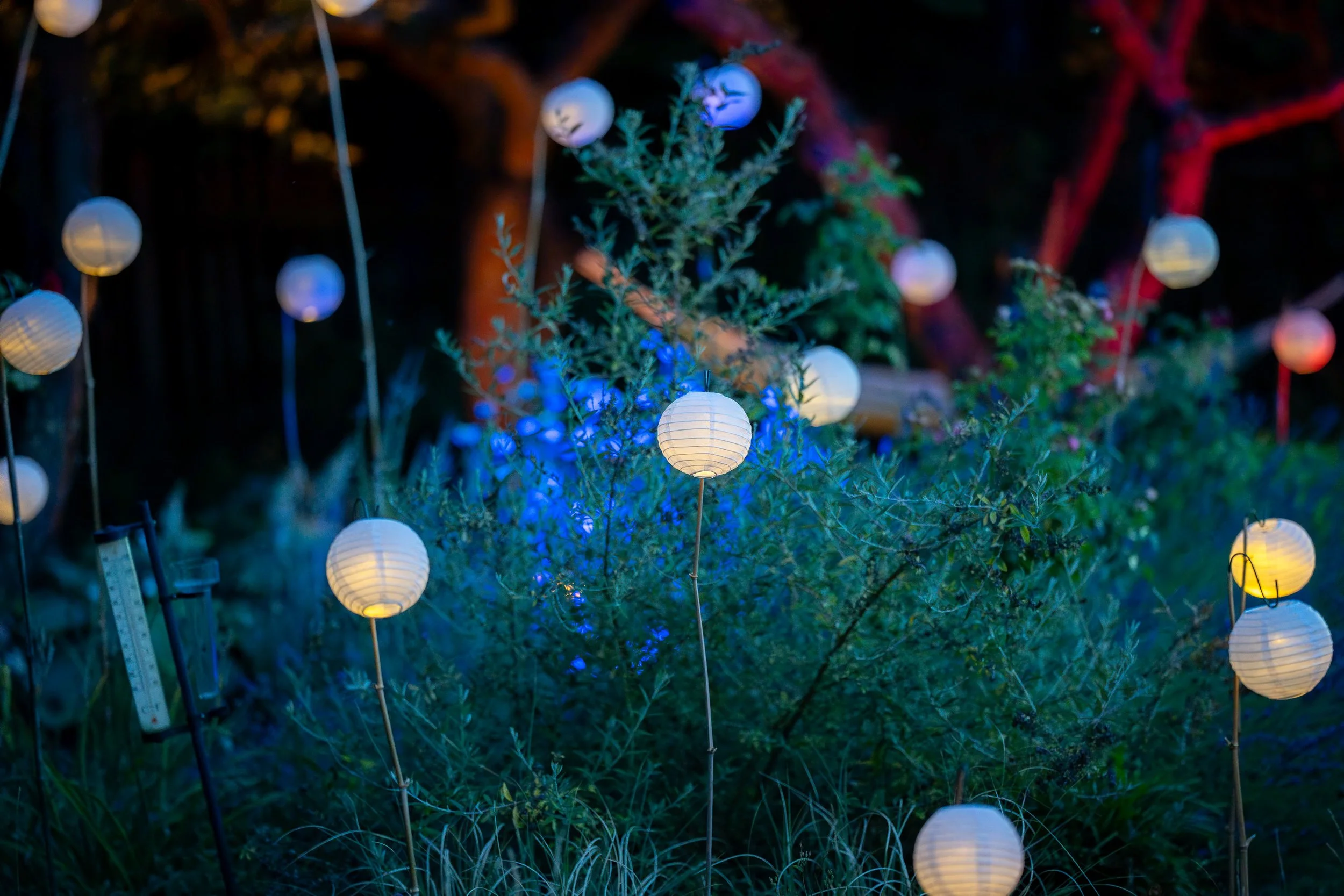 A7C09299-HDR-Verbessert-RR.jpg