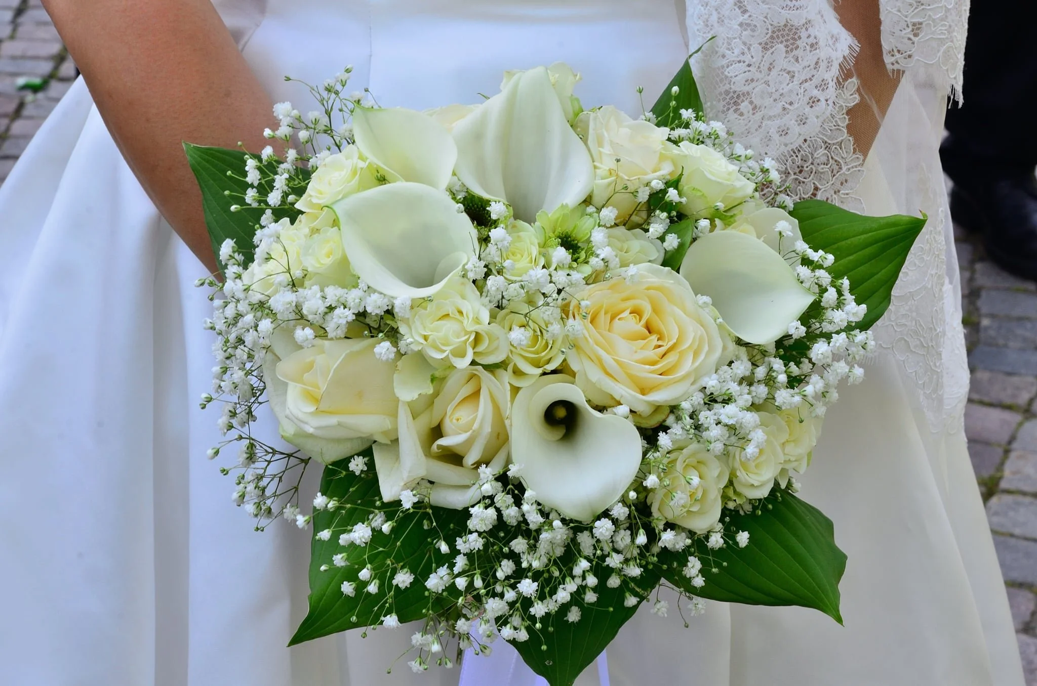 att.WmW8kNz6p0_DjMvxhl5_hsTrHRs61duRYa2Zp65arTE.JPG