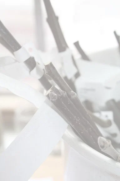 ympkvistar1 - white out.jpg