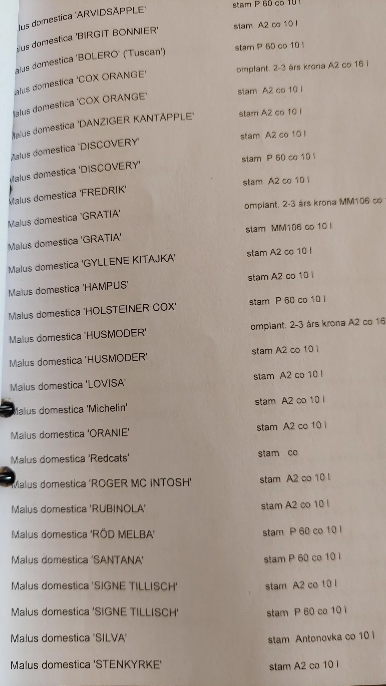 1000031676.jpg