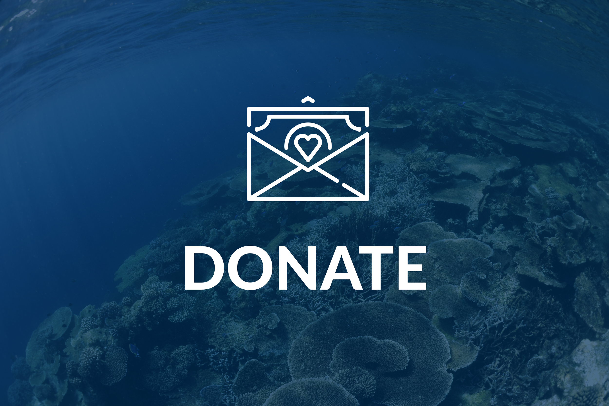 Support Us Home Page Blocks_Donate.png