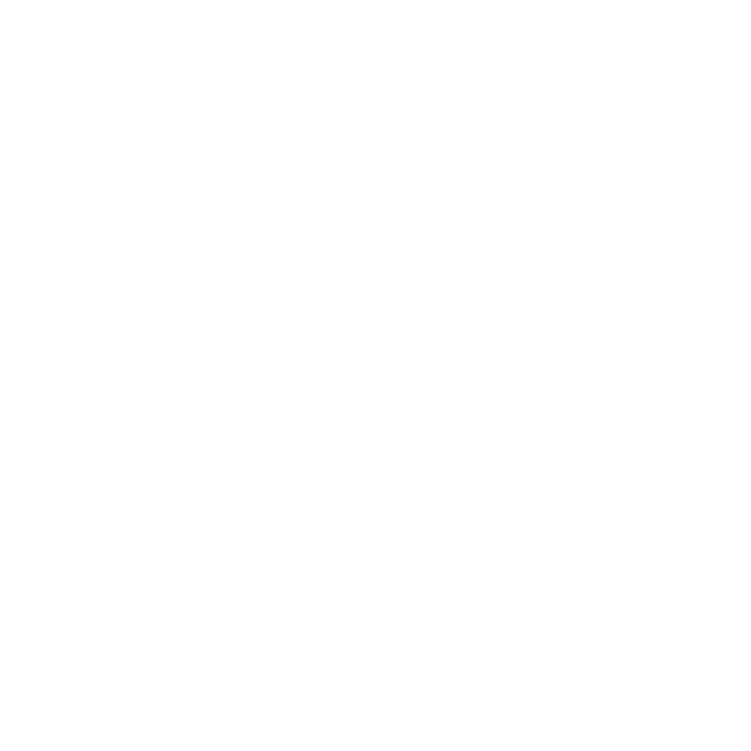 Our Impact_Icon_White_Maldives.png