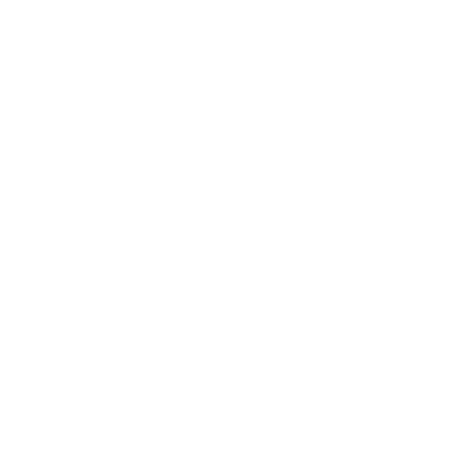 Our Impact_Icon_White_CMS.png