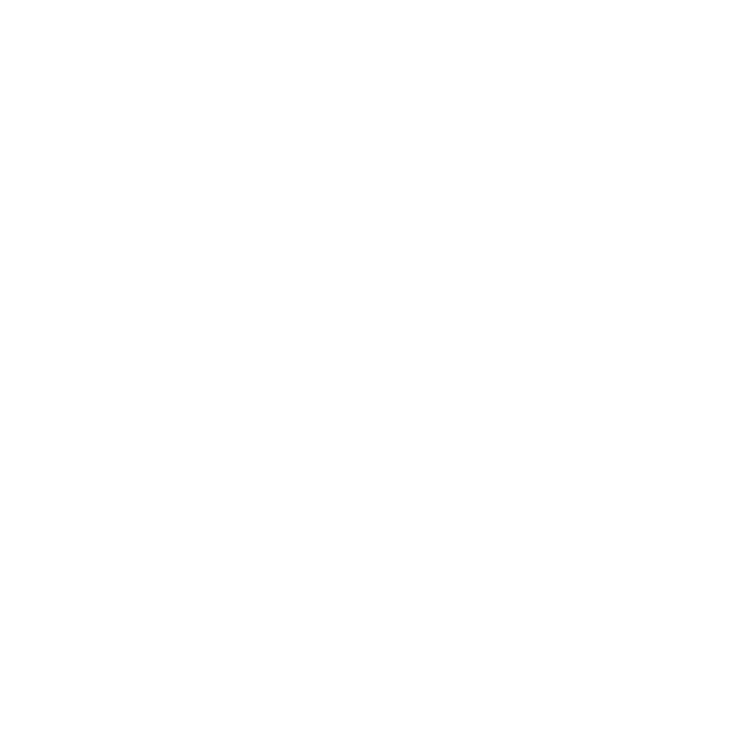 Our Impact_Icon_White_Shield.png