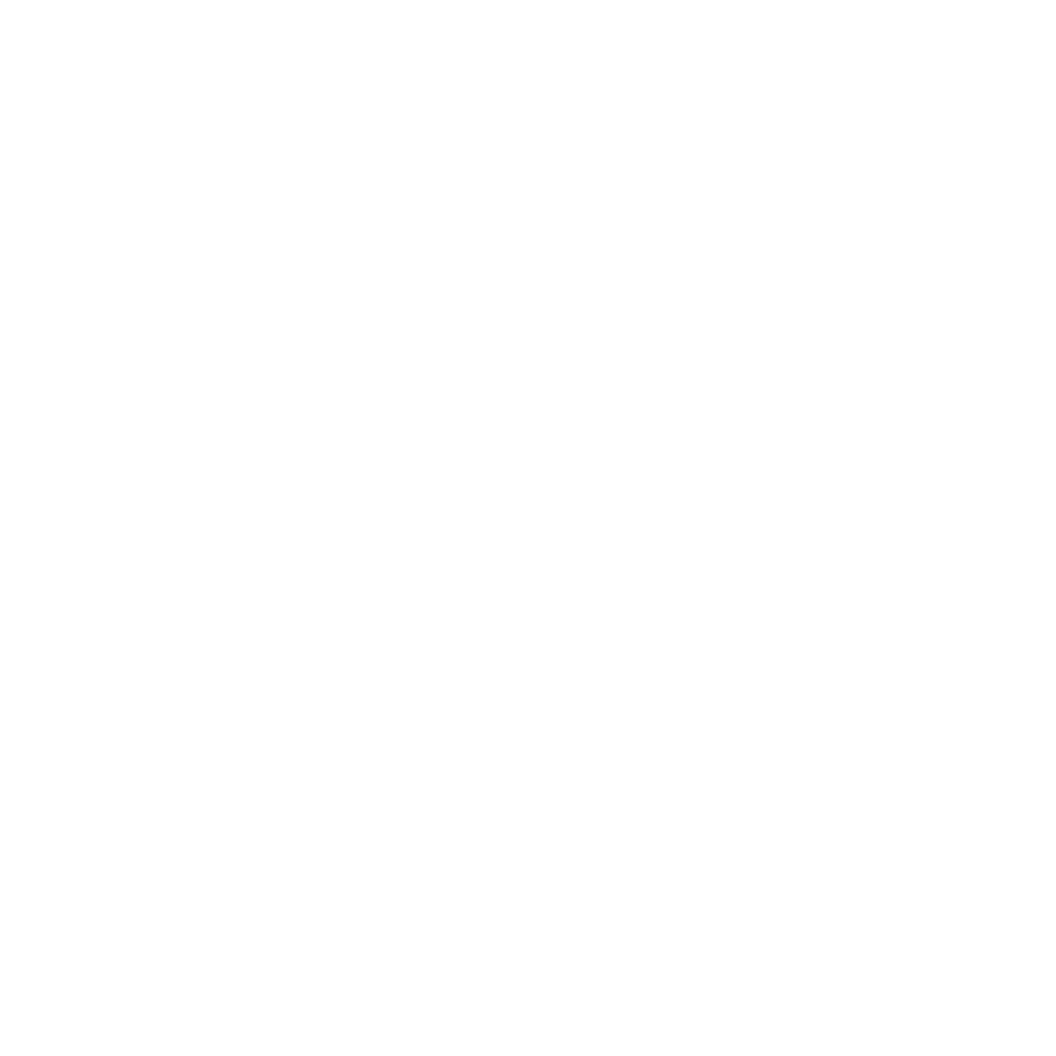 Our Impact_Icon_White_Scales.png