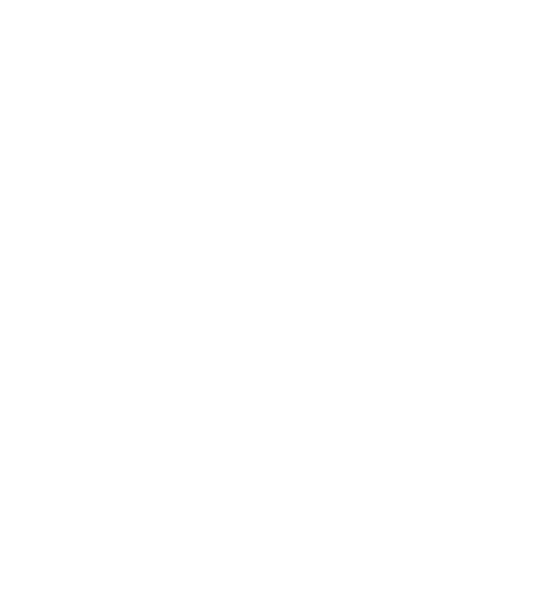 MT_The Cyclone_Logo_No Title_White.png