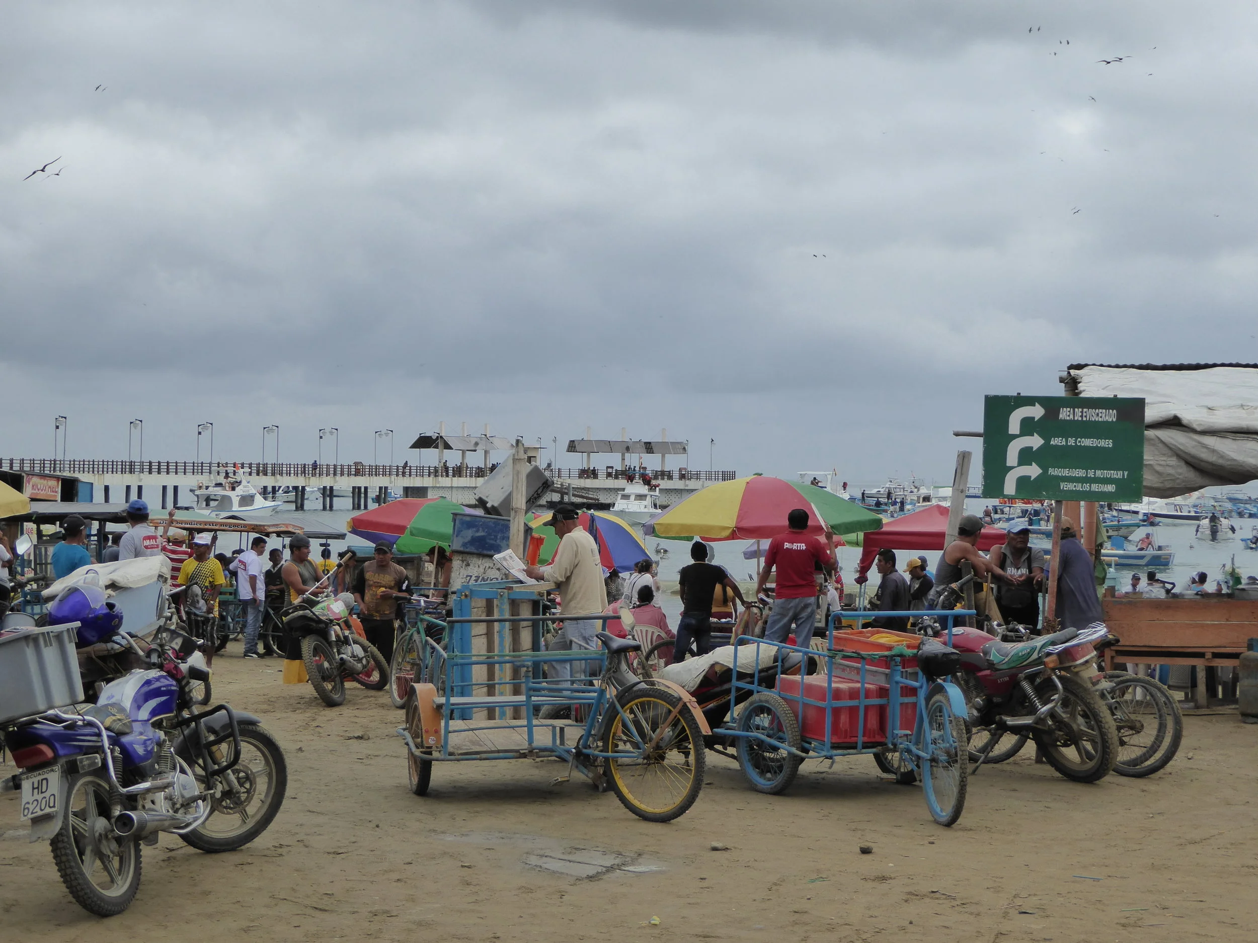 Proyecto Mantas Ecuador is based in the coastal town of Puerto Lopez. Photo by Arabsalam https://creativecommons.org/licenses/by-sa/4.0/deed.en