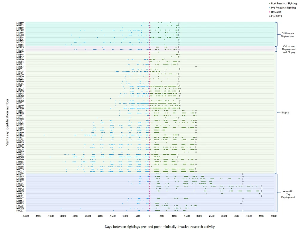 tagging tracking mobulid research methods manta trust