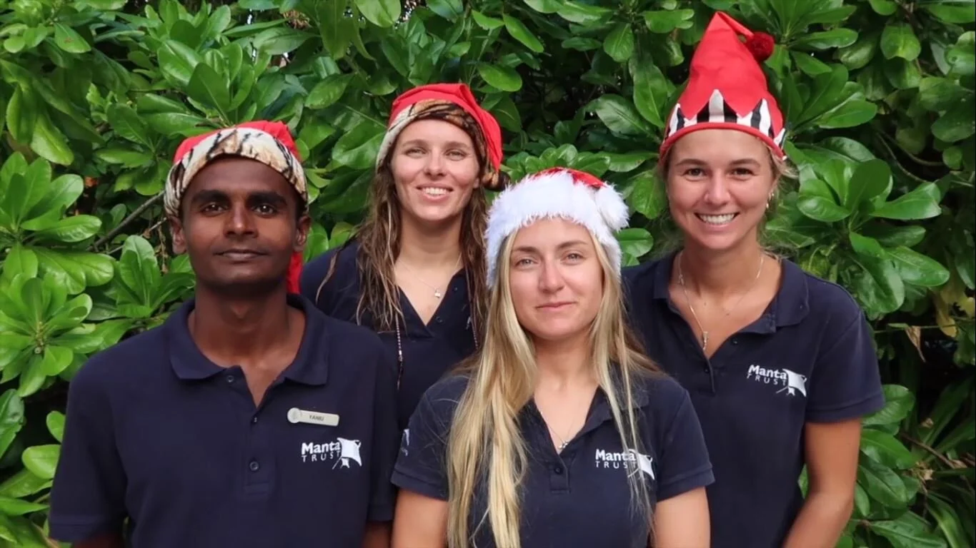 A Christmas Message from the Team