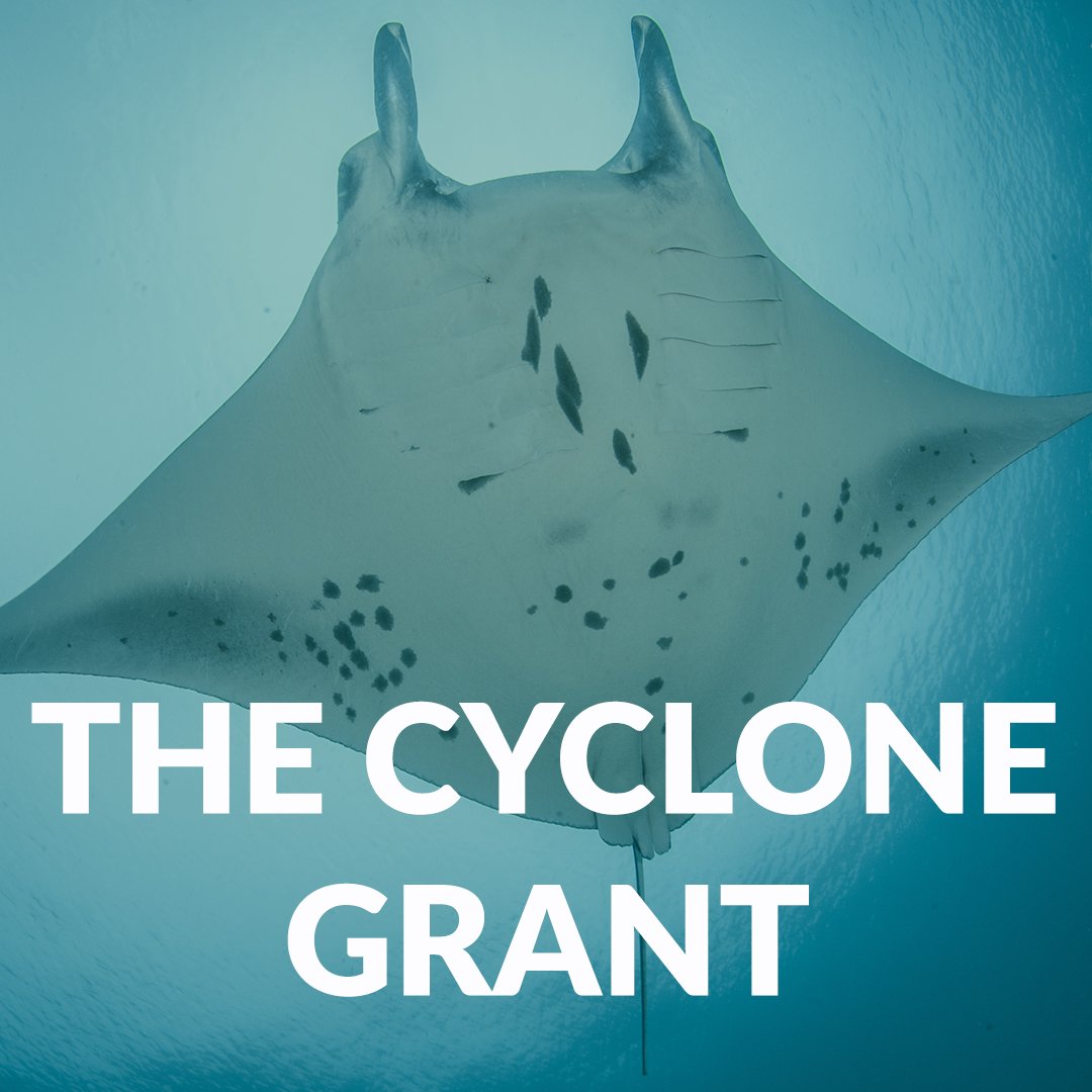 Categories Titles_The Cyclone Grant.jpg