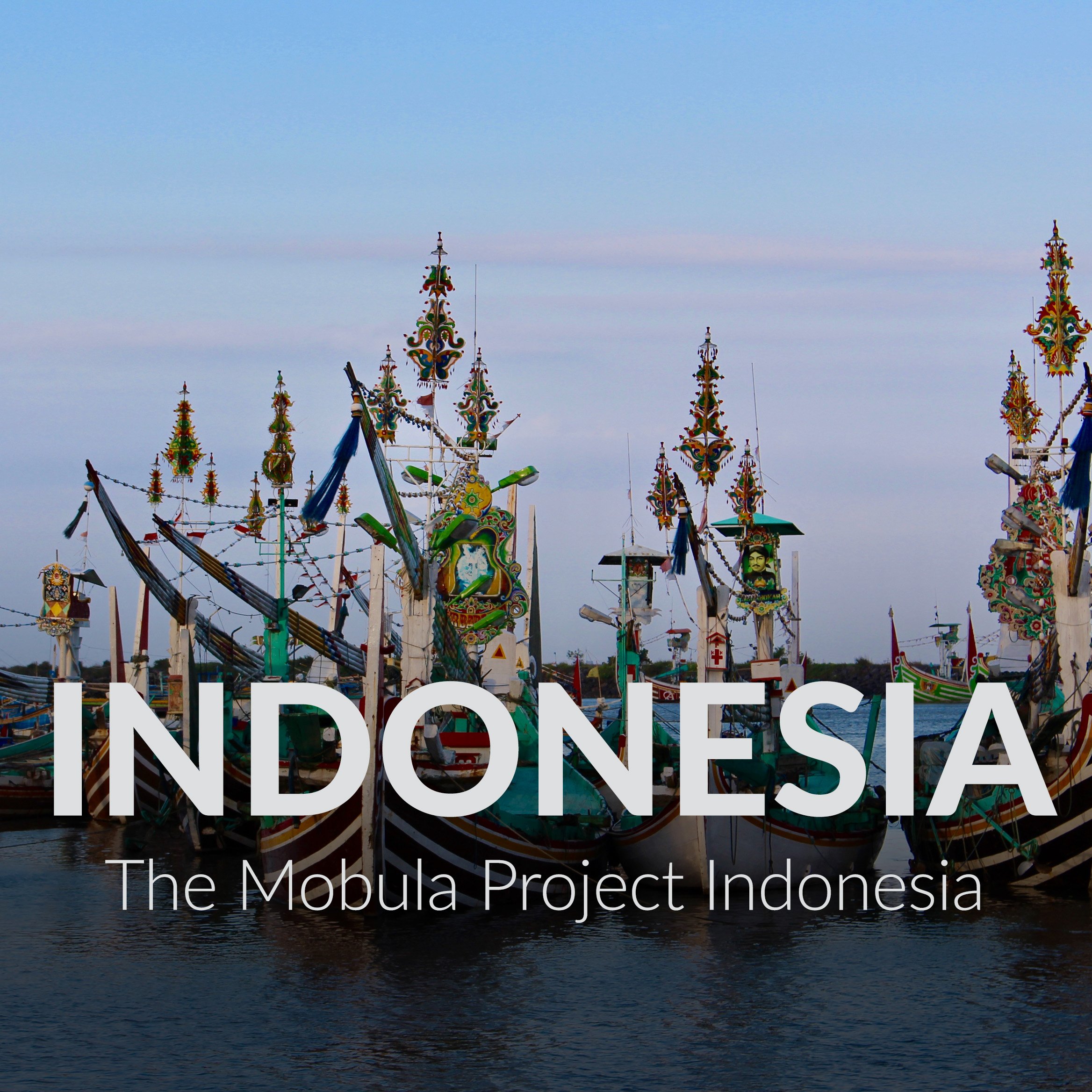 Indo Mobula Project Thumbnail.jpg