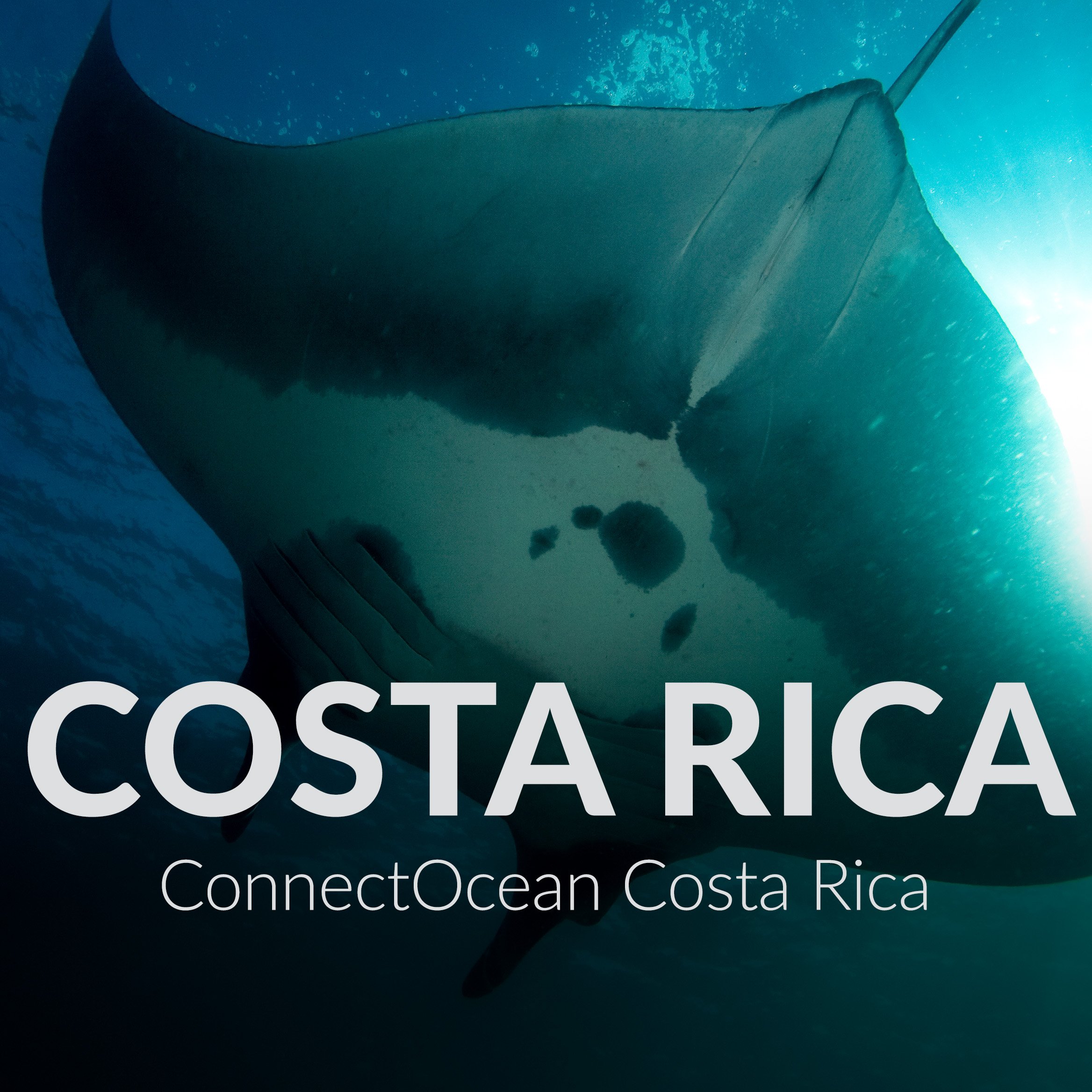 ConnectOcean Costa Rica thumbnail.jpg