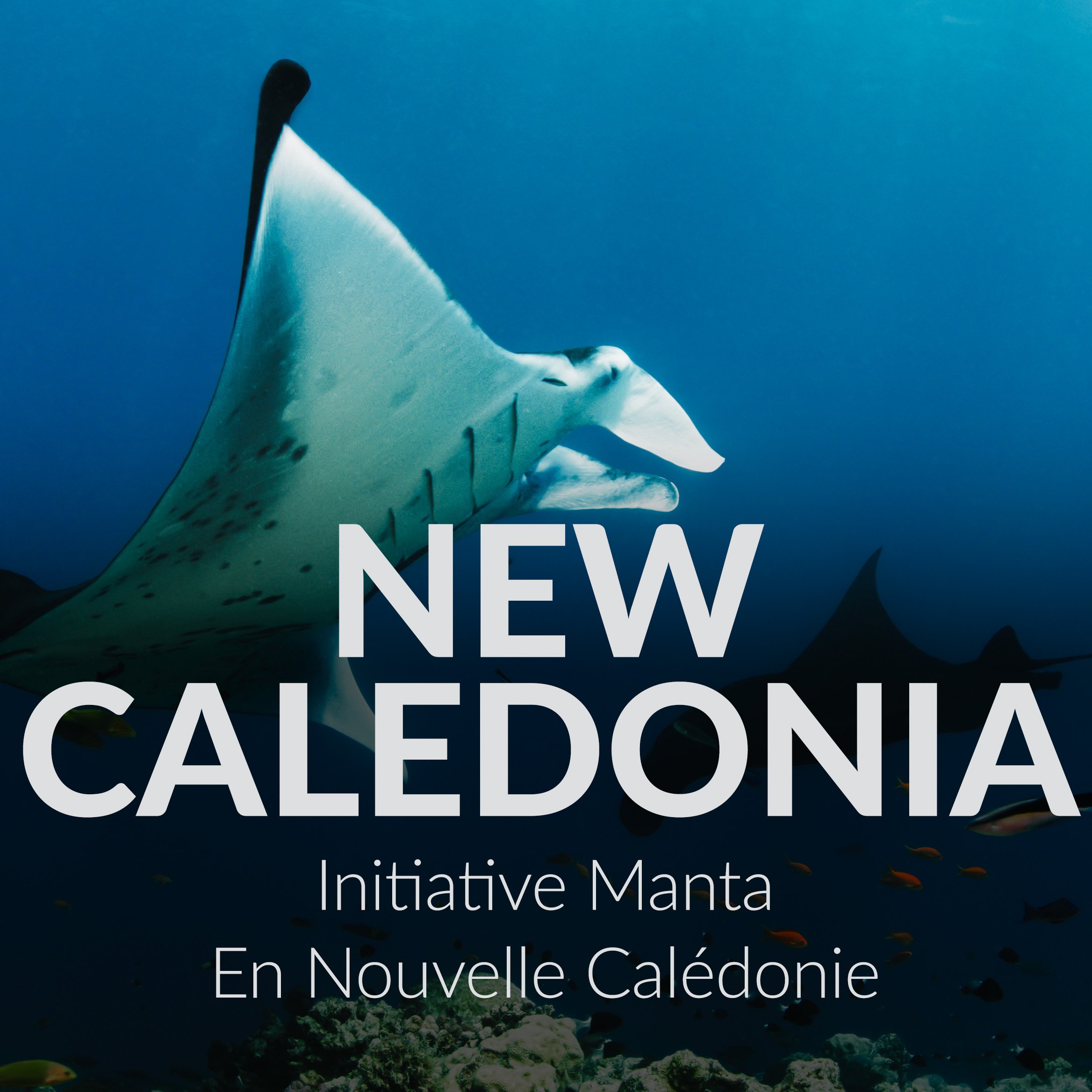 New Caledonia Thumbnail.jpg