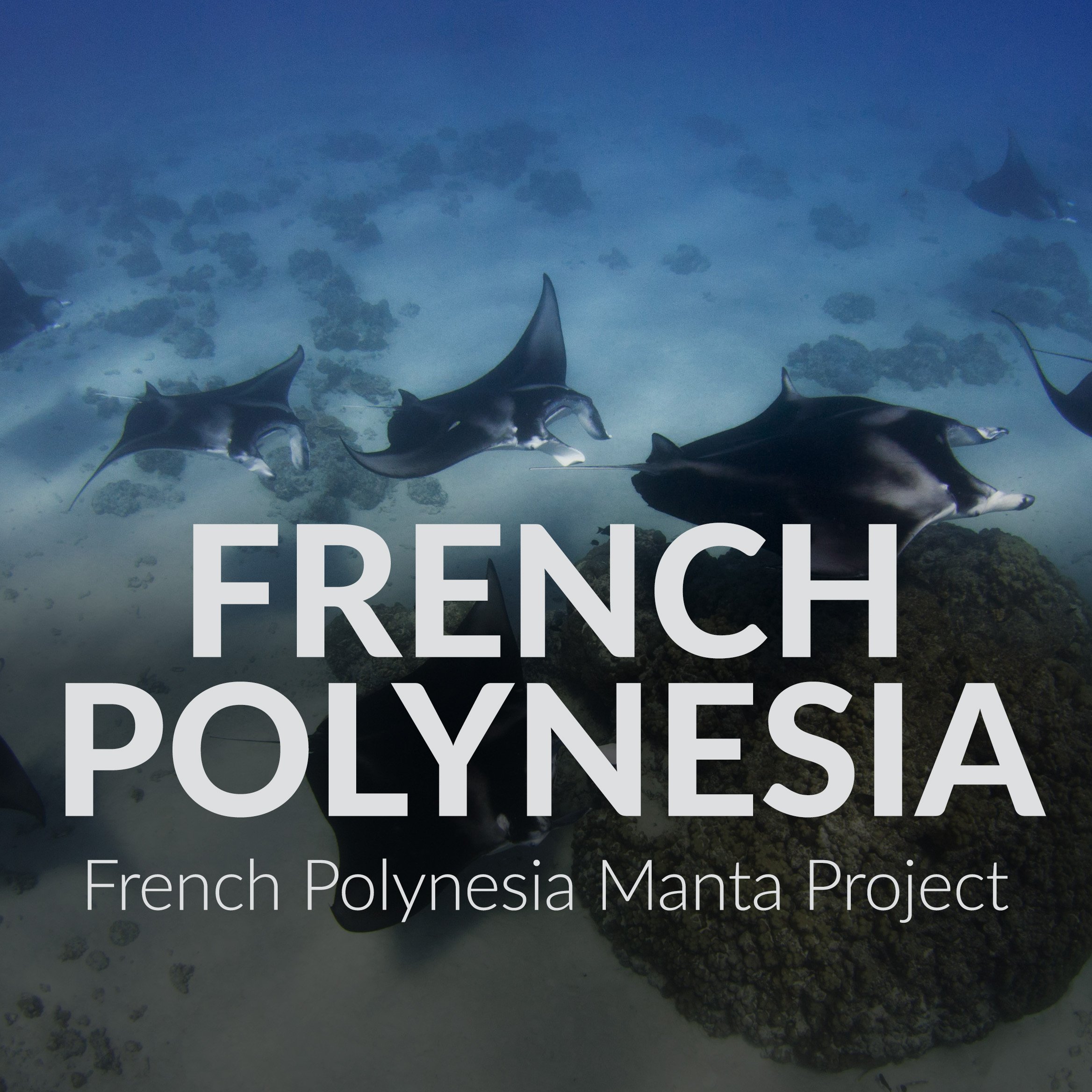 French Polynesia Thumbnail.jpg