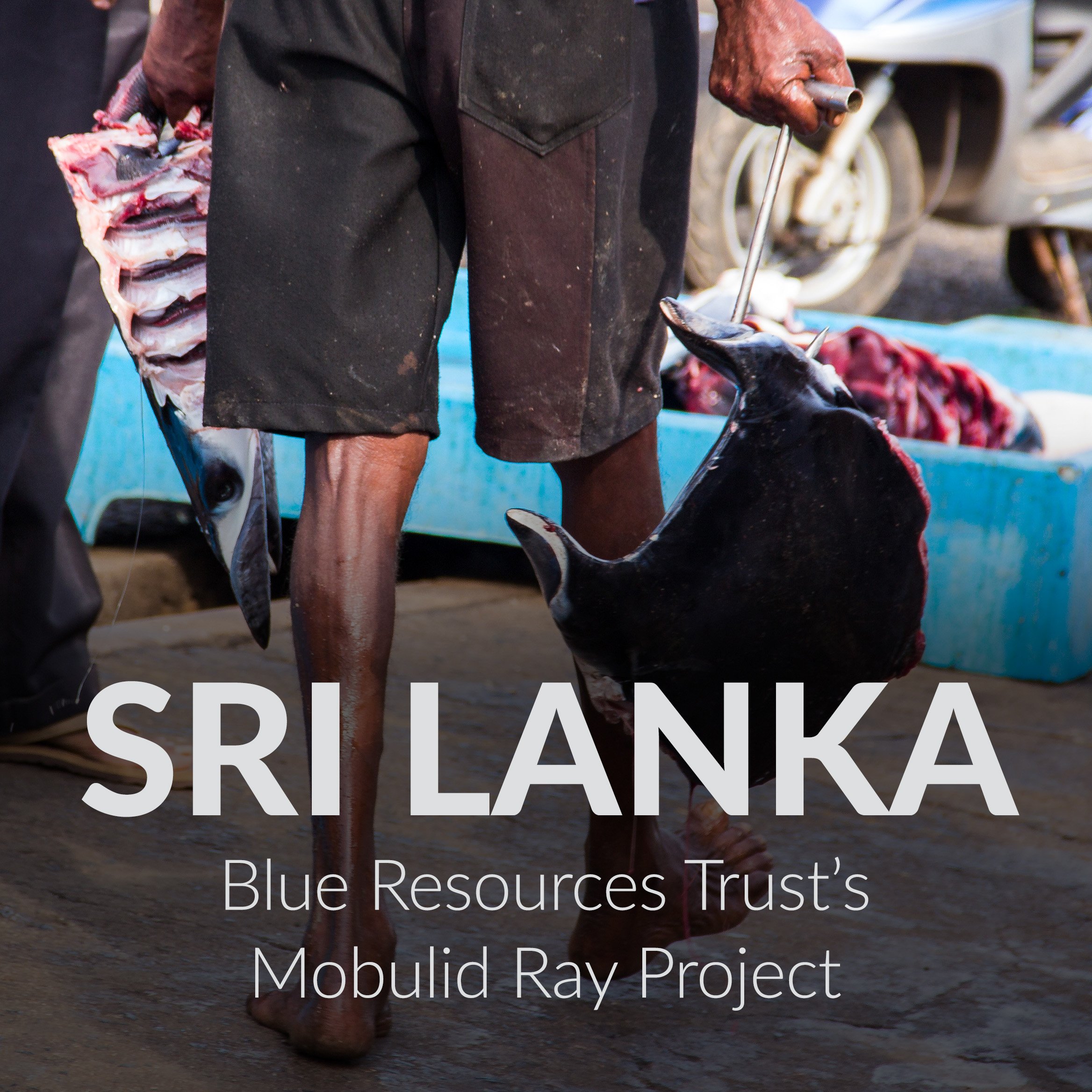 Sri Lanka Thumbnail.jpg