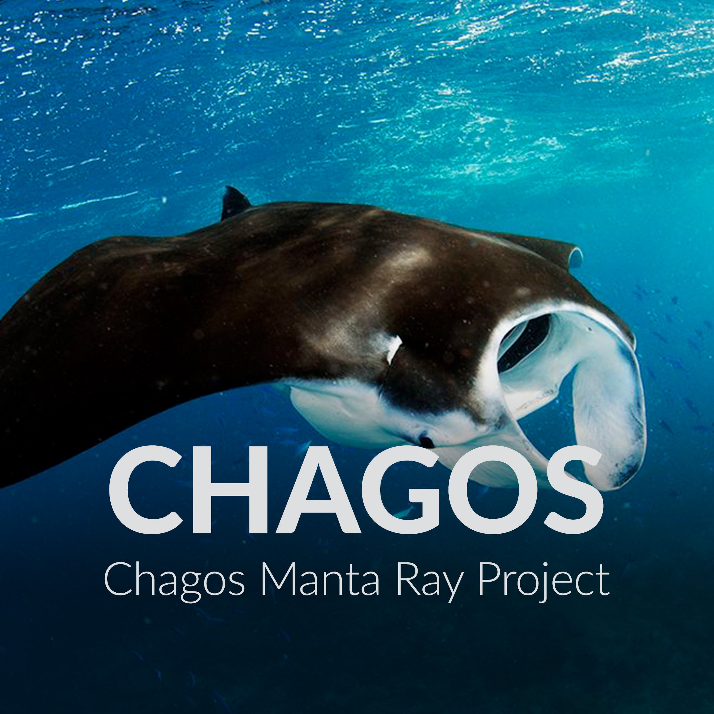 Chagos thumbnail.jpg
