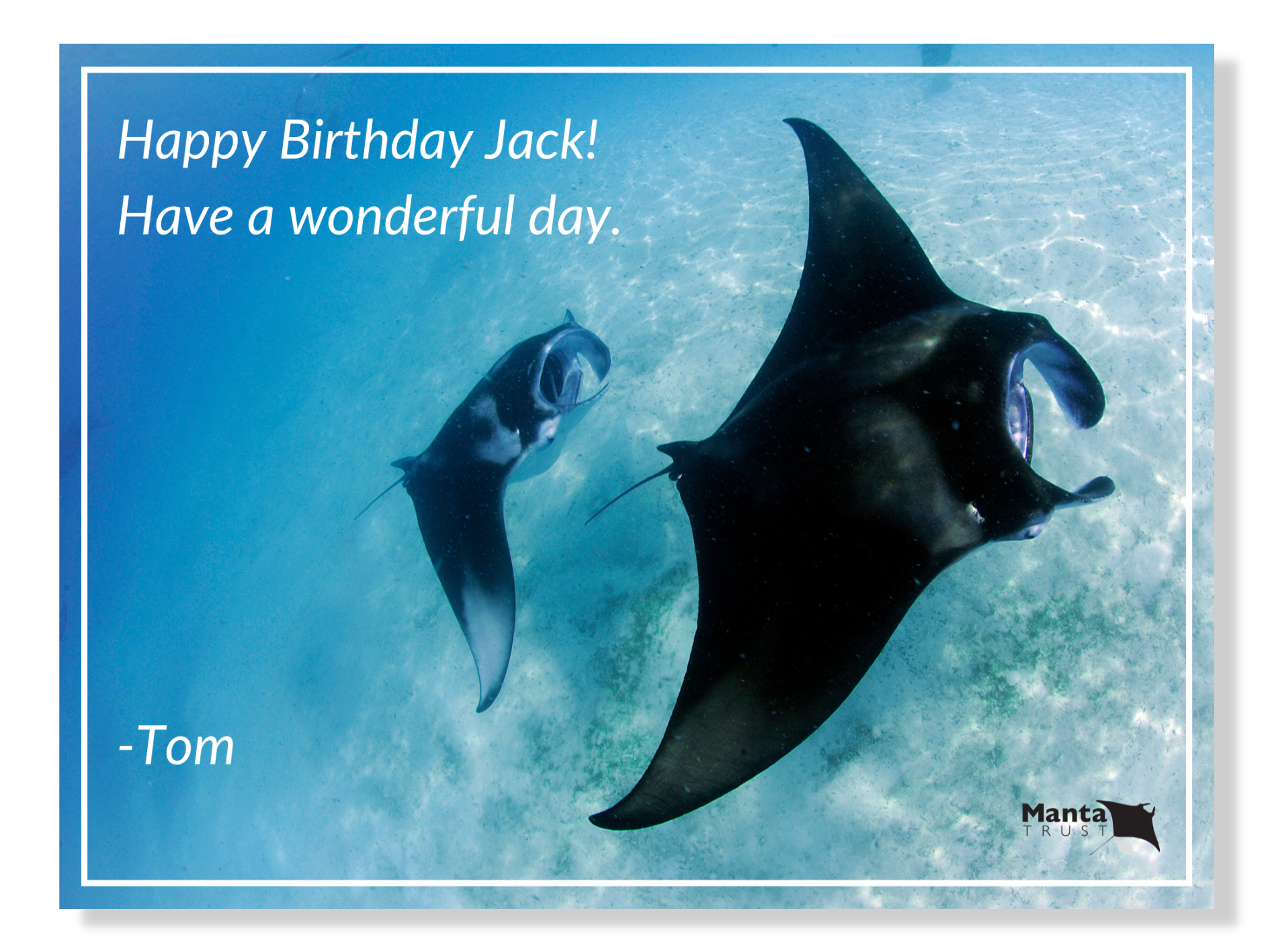 E-card example.png