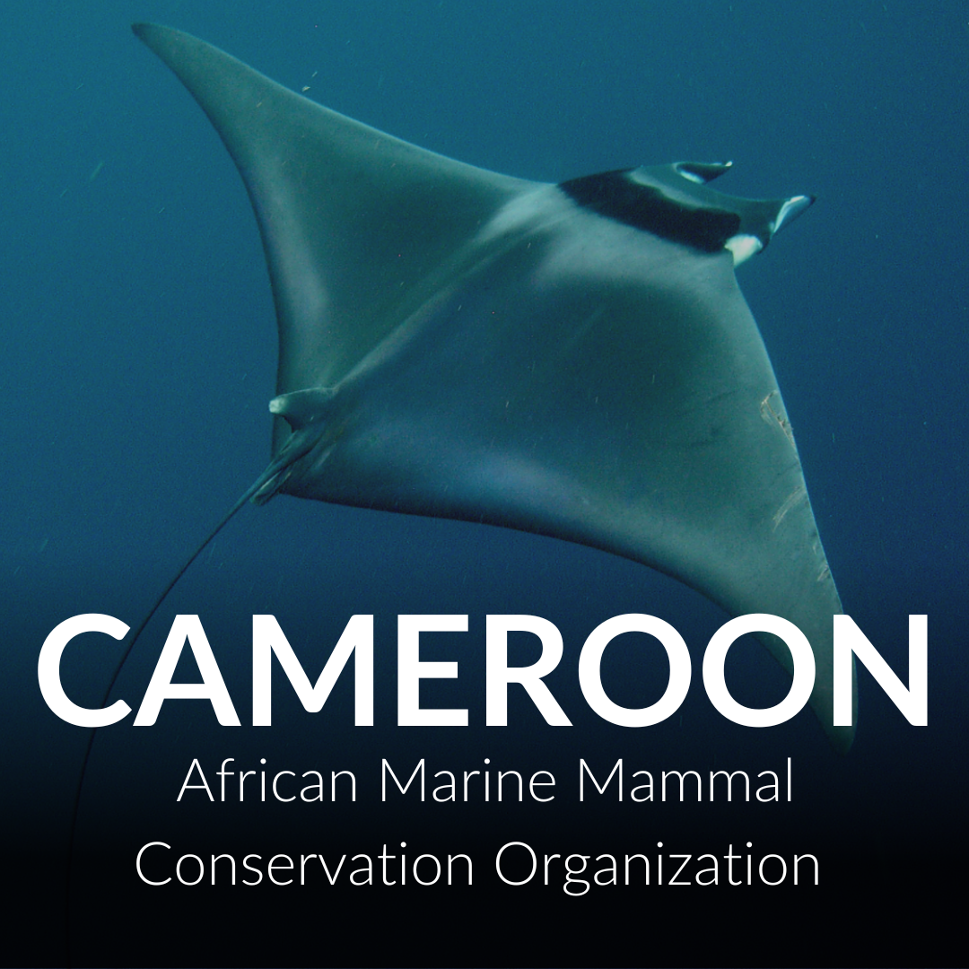 Cameroon thumbnail 3.png