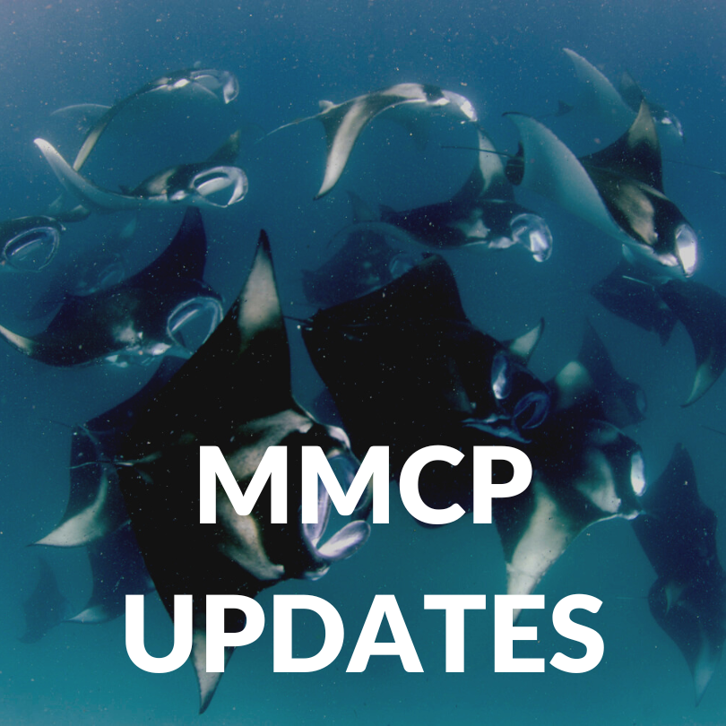 Categories Titles_MMCP Updates.png