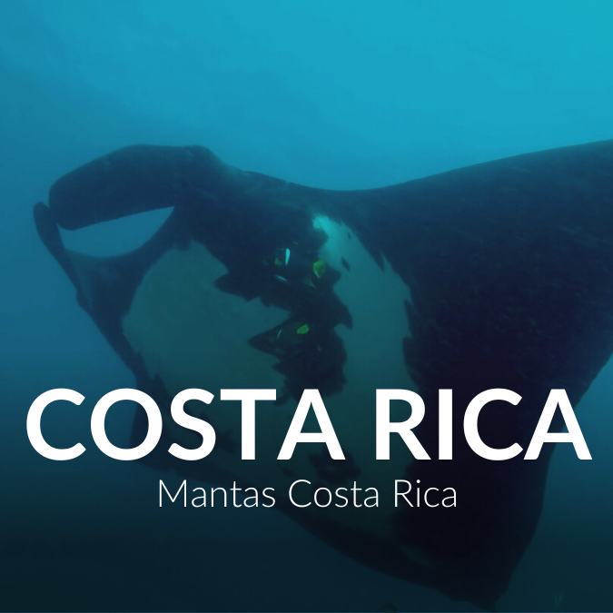 Mantas Costa Rica Thumbnail.png