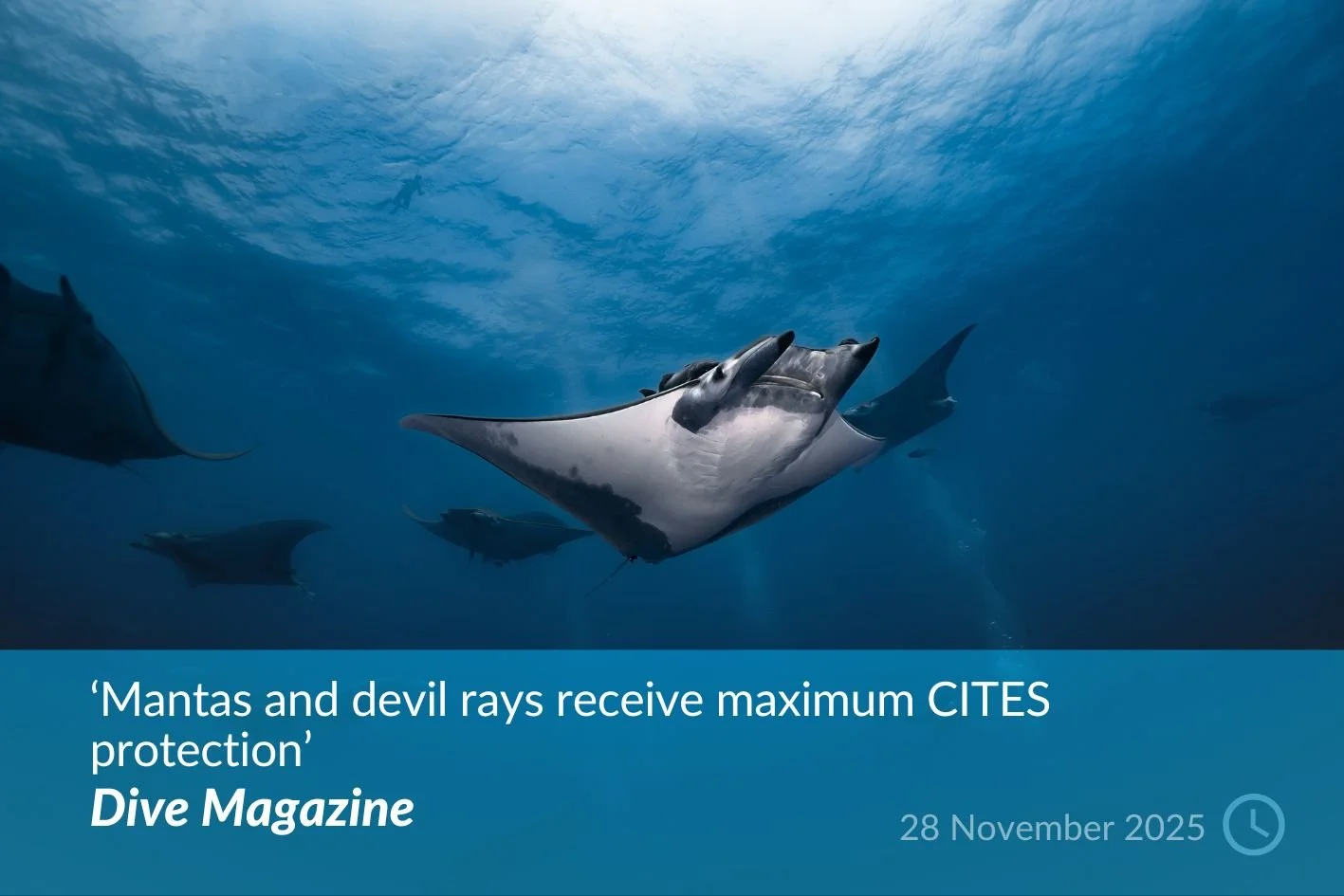Dive Magazine.jpg