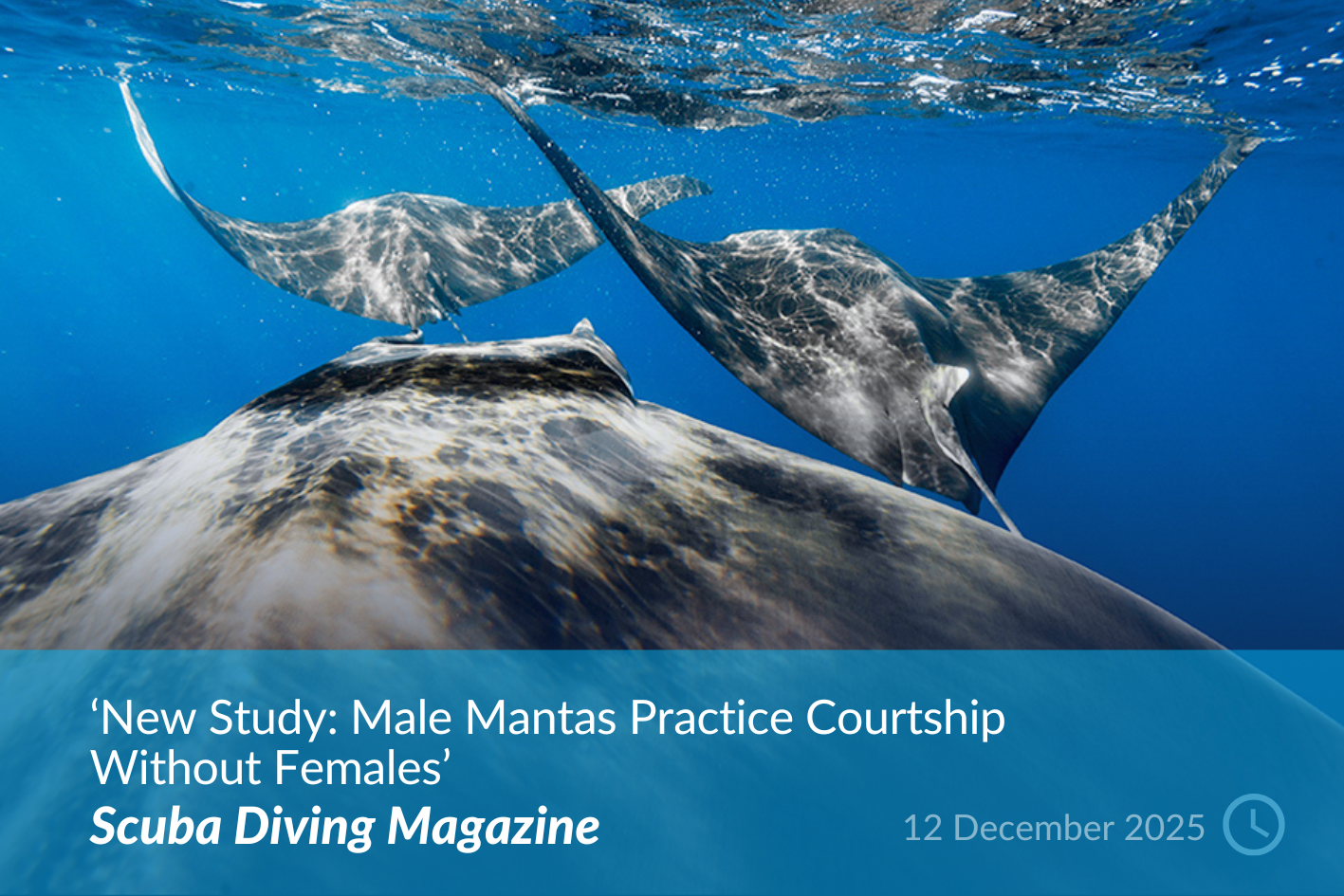 Scuba Diving Magazine.png