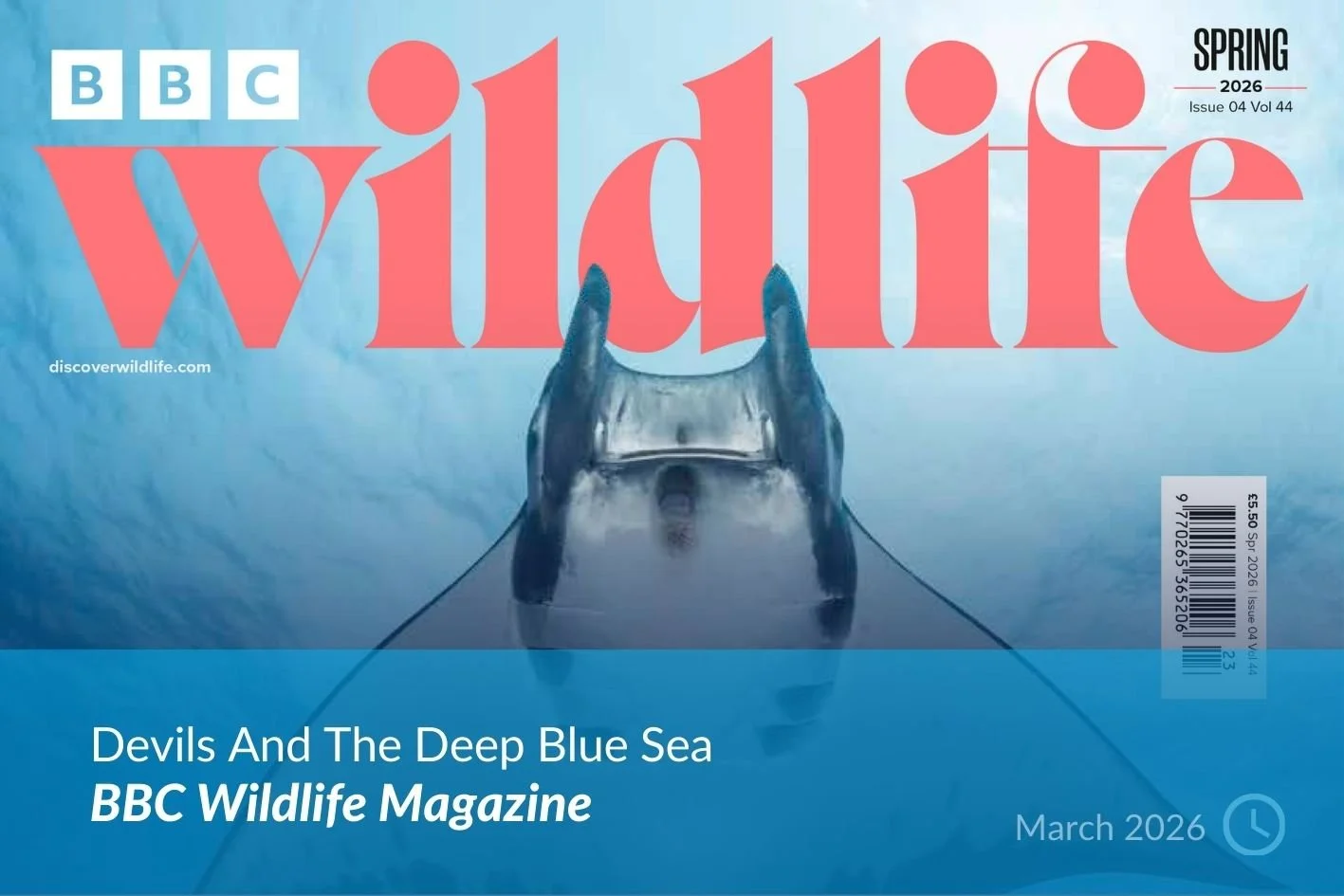 BBW Wildlife Mag.jpg